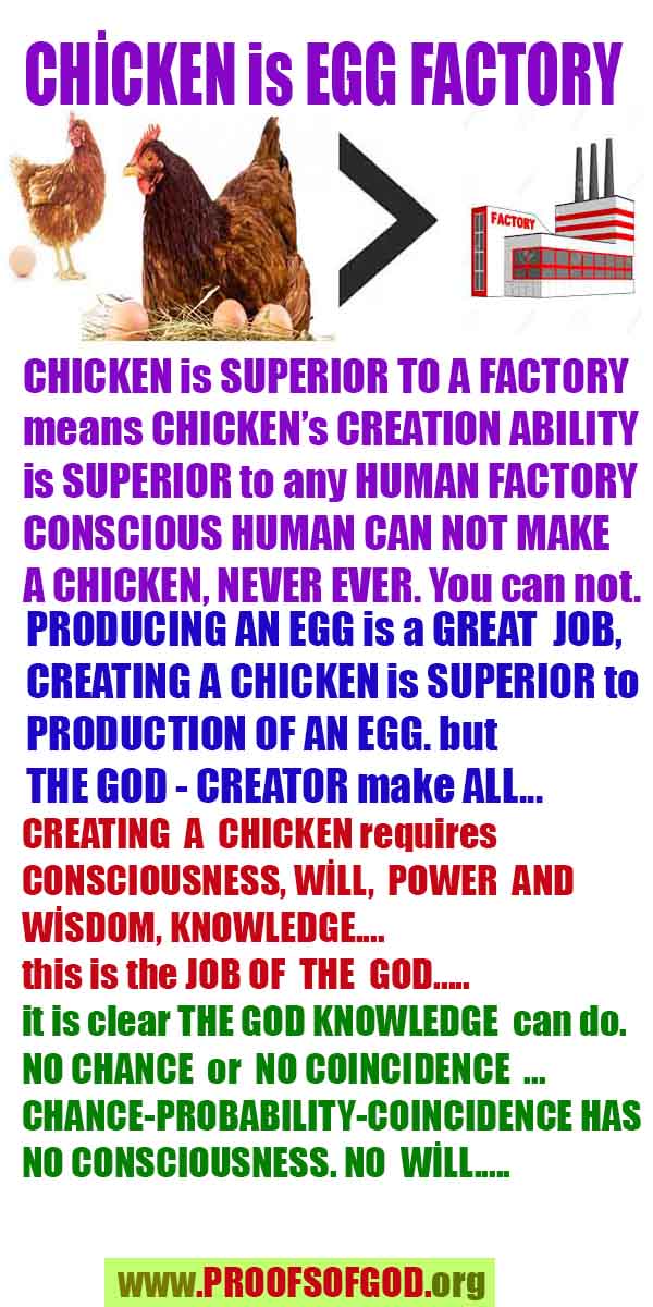 God is real, God exists here Proofs and evidences, Proofs and evidences of God