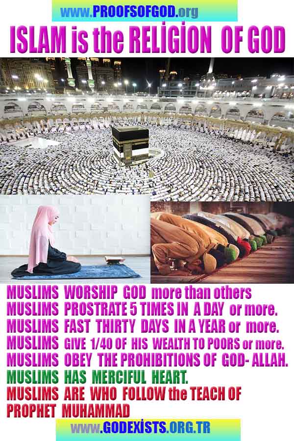 God is real, God exists here Proofs and evidences, Proofs and evidences of God