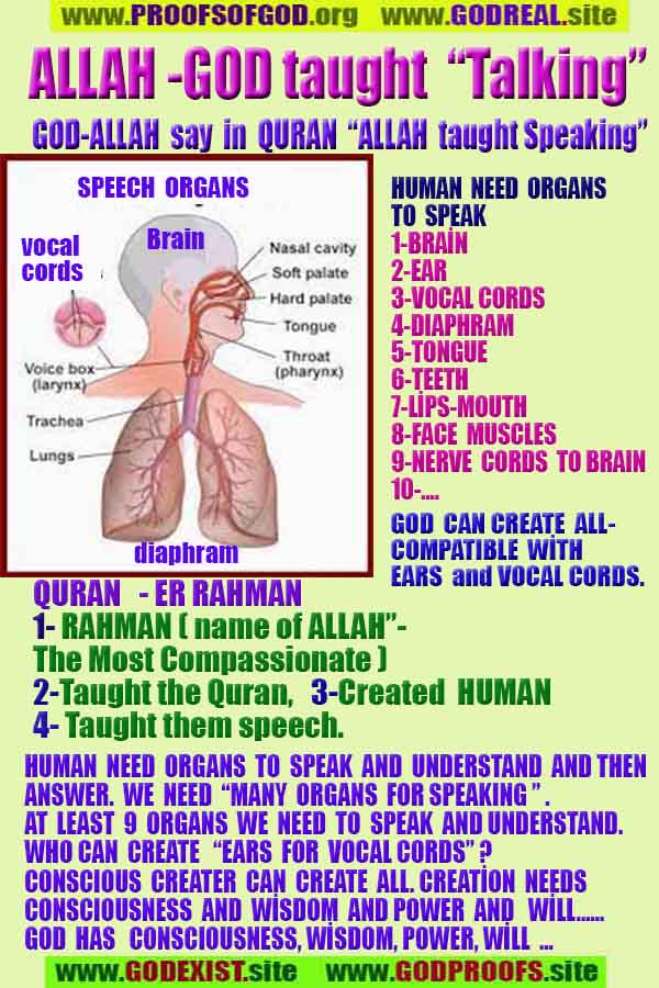 God is real, God exists here Proofs and evidences, Proofs and evidences of God
