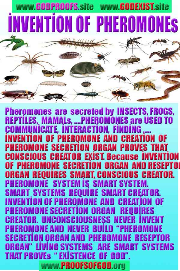 God is real, God exists here Proofs and evidences, Proofs and evidences of God