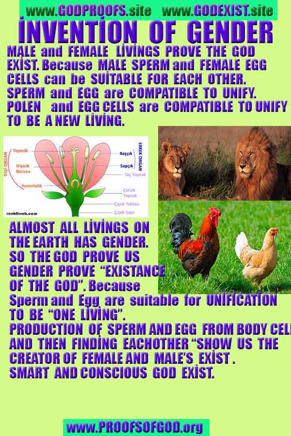 Proofs and Evidences of GOD's existance