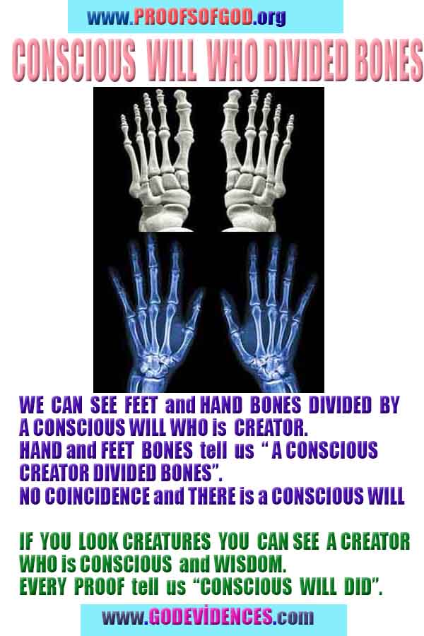 God is real, God exists here Proofs and evidences, Proofs and evidences of God