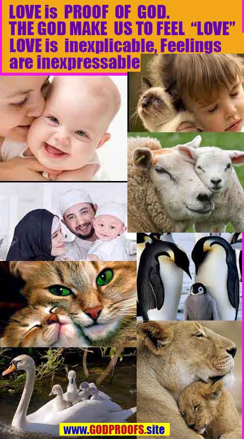 God is real, God exists here Proofs and evidences, Proofs and evidences of God
