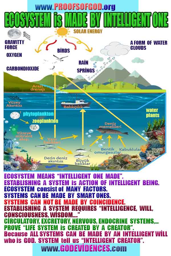 God is real, God exists here Proofs and evidences, Proofs and evidences of God