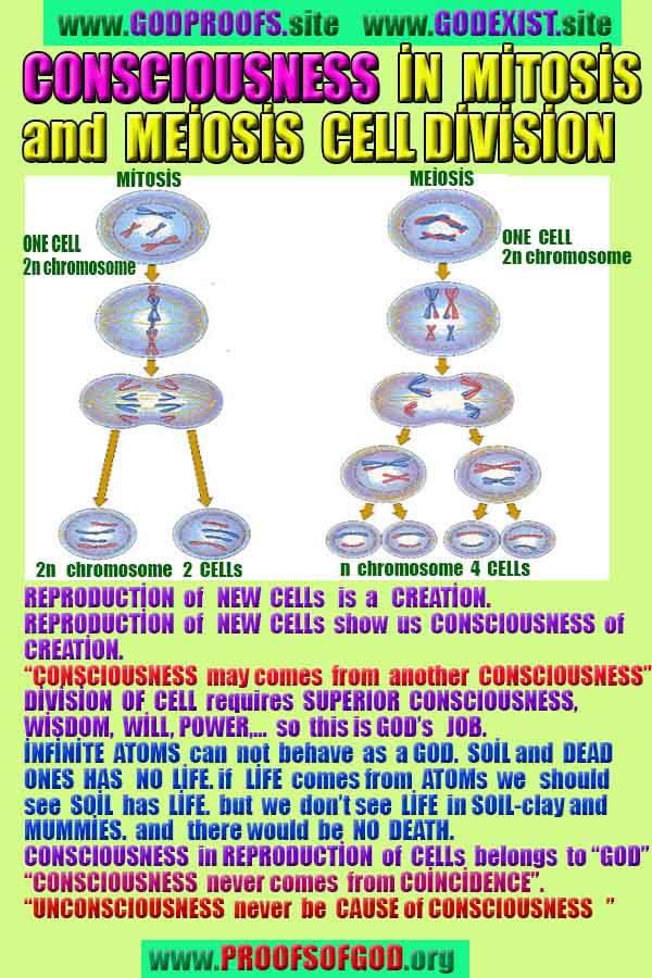 Proofs and Evidences of GOD's existance