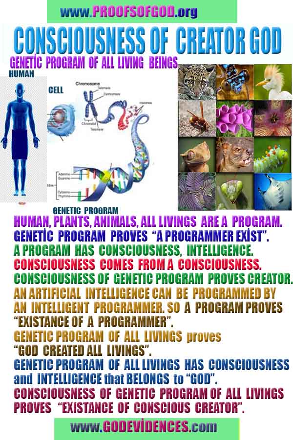 God is real, God exists here Proofs and evidences, Proofs and evidences of God