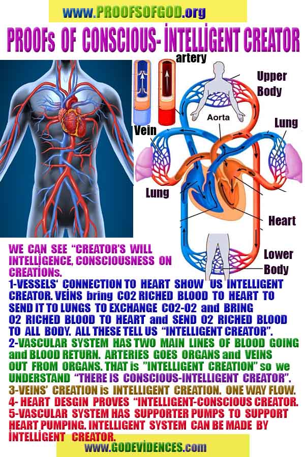 God is real, God exists here Proofs and evidences, Proofs and evidences of God
