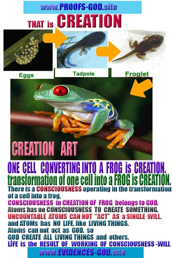 God is real, God exists here Proofs and evidences, Proofs and evidences of God