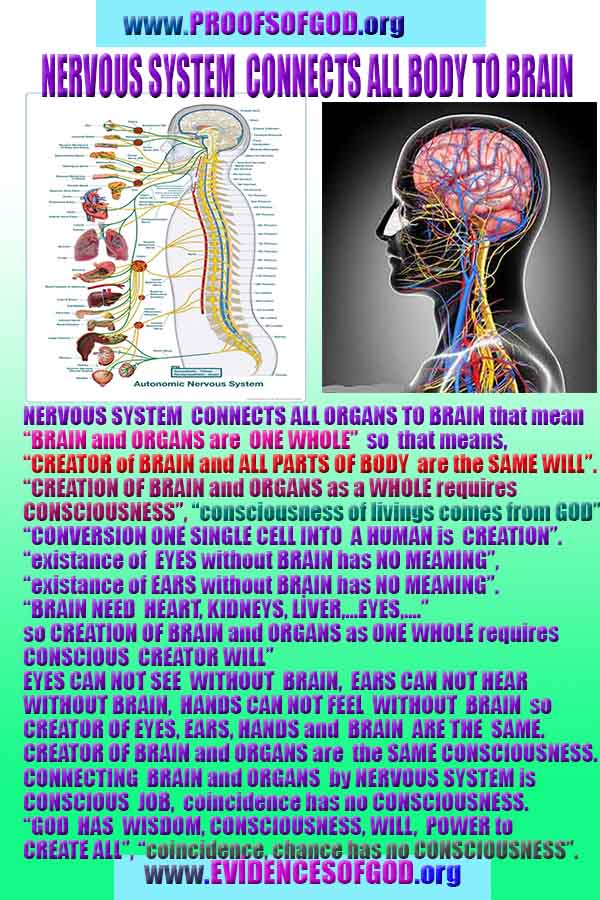 God is real, God exists here Proofs and evidences, Proofs and evidences of God