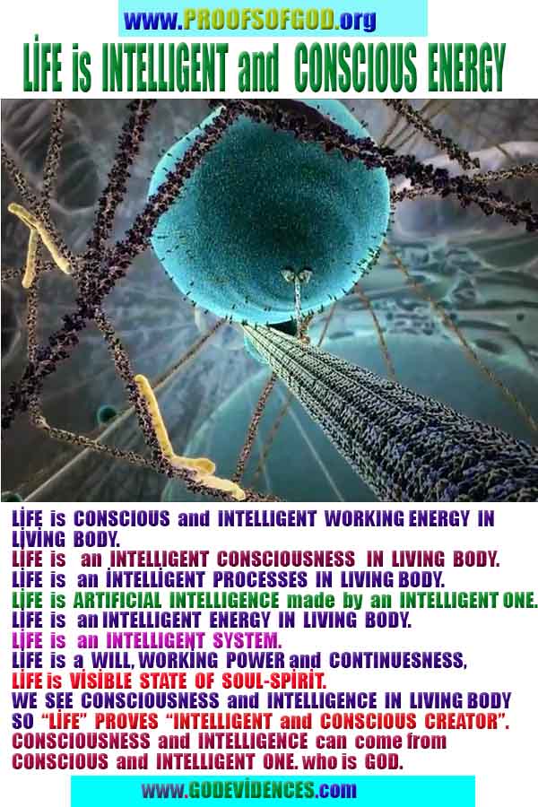 God is real, God exists here Proofs and evidences, Proofs and evidences of God