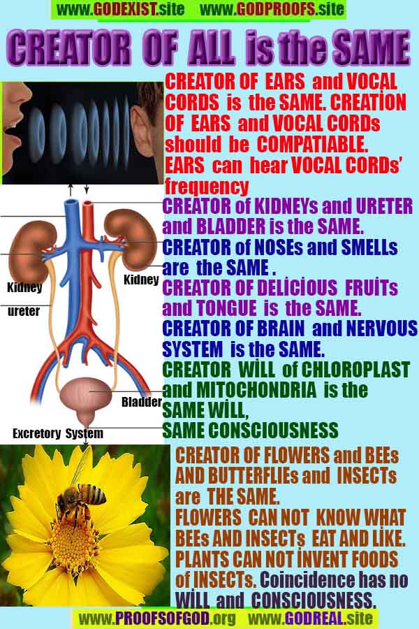 God is real, God exists here Proofs and evidences, Proofs and evidences of God