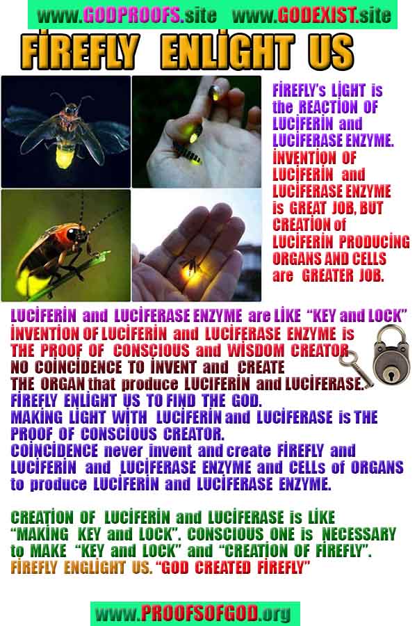 Proofs and Evidences of GOD's existance