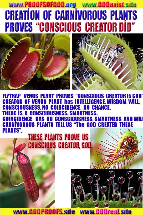 God is real, God exists here Proofs and evidences, Proofs and evidences of God