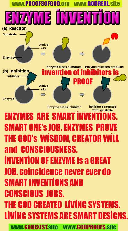 Proofs and Evidences of GOD's existance