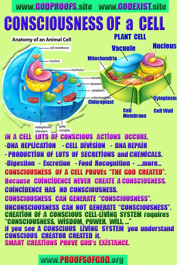 God is real, God exists here Proofs and evidences, Proofs and evidences of God