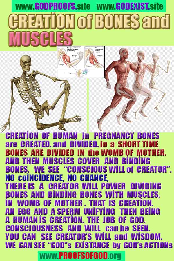 Proofs and Evidences of GOD's existance