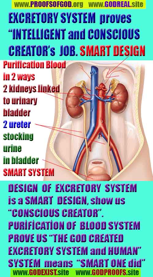 God is real, God exists here Proofs and evidences, Proofs and evidences of God