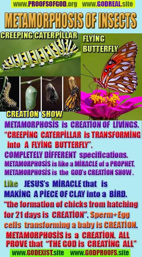 God is real, God exists here Proofs and evidences, Proofs and evidences of God