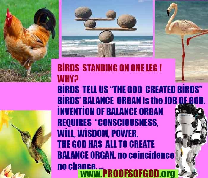 God is real, God exists here Proofs and evidences, Proofs and evidences of God