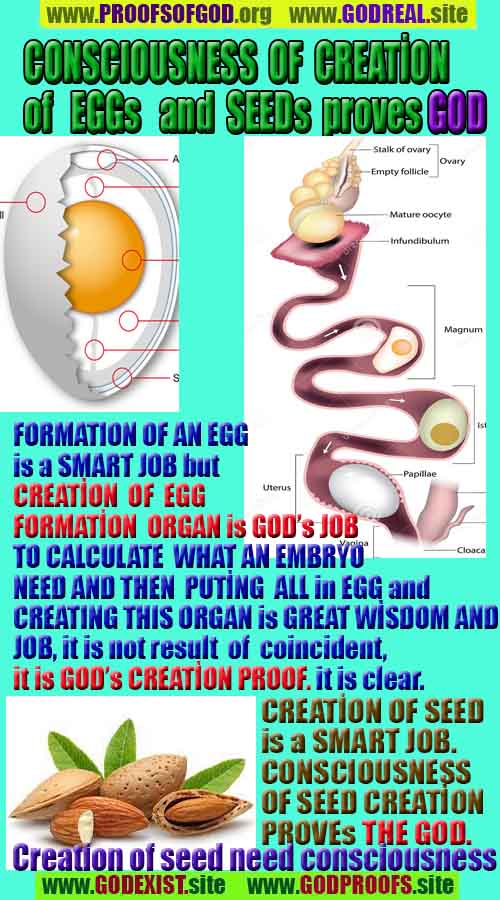 God is real, God exists here Proofs and evidences, Proofs and evidences of God