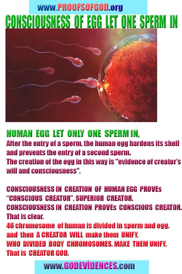 God is real, God exists here Proofs and evidences, Proofs and evidences of God