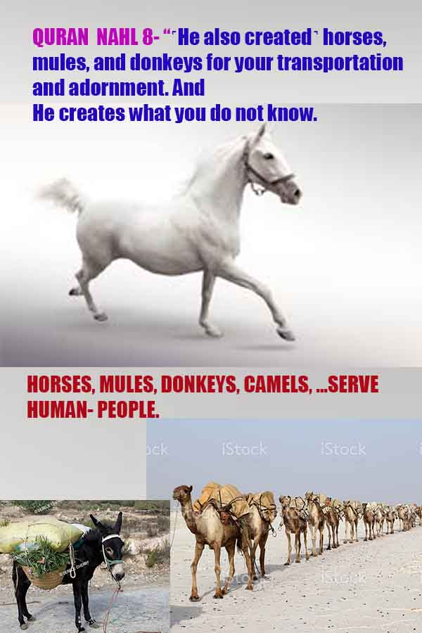 Proofs and Evidences of GOD's existance