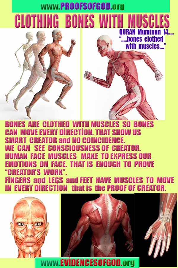 God is real, God exists here Proofs and evidences, Proofs and evidences of God