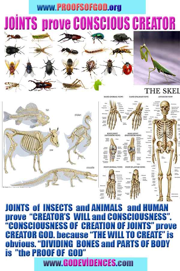 Proofs and Evidences of GOD's existance