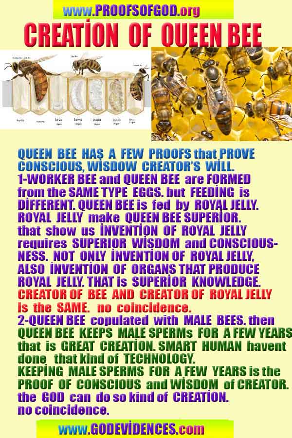 God is real, God exists here Proofs and evidences, Proofs and evidences of God