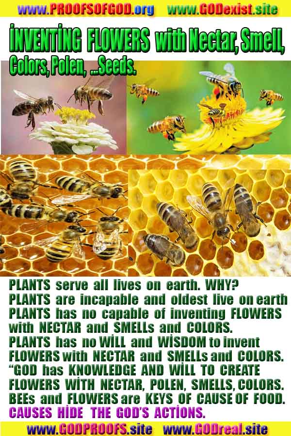 God is real, God exists here Proofs and evidences, Proofs and evidences of God