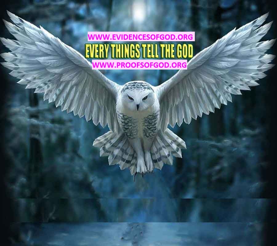 Proofs and Evidences of GOD's existance