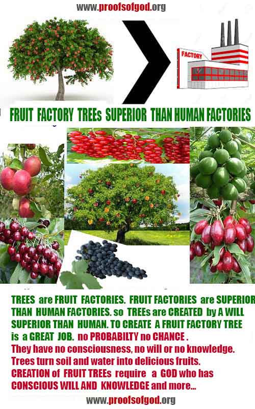 God is real, God exists here Proofs and evidences, Proofs and evidences of God