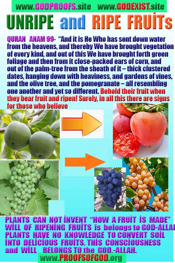 God is real, God exists here Proofs and evidences, Proofs and evidences of God